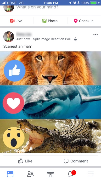 FacePoll - Reaction Image Poll