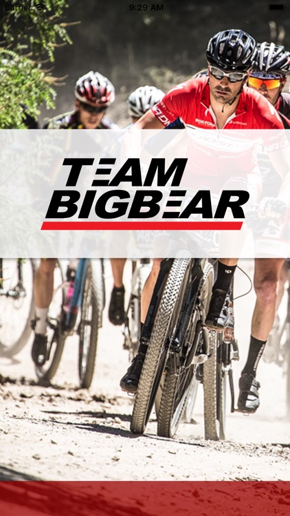 Team Big Bear