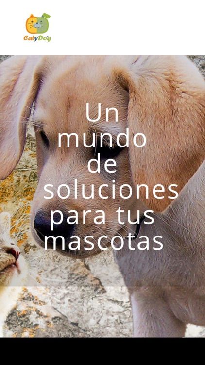 CatyDog