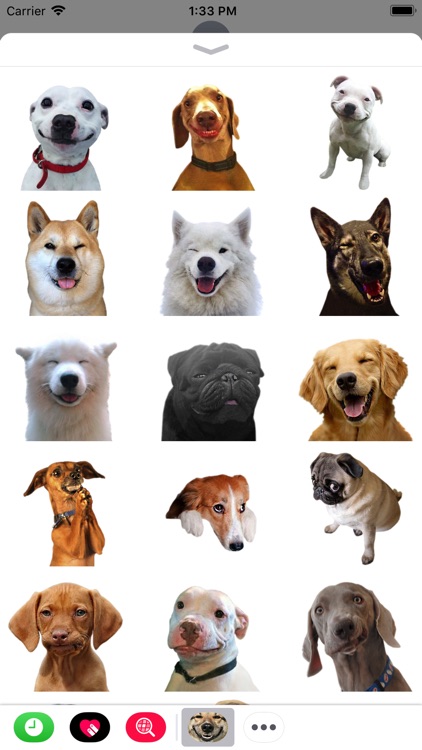 Funny Doge Animated Stickers