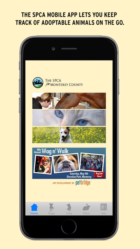 #1. The SPCA (iOS) 来自: Baseline Creative