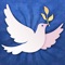 This app and the book, Inspirational Daily Prayer; Following in the Footsteps of Female Saints and Holy Women were born of my efforts to send a daily prayer to a friend who was being treated for breast cancer