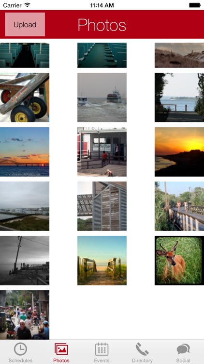 Fire Island App screenshot-3