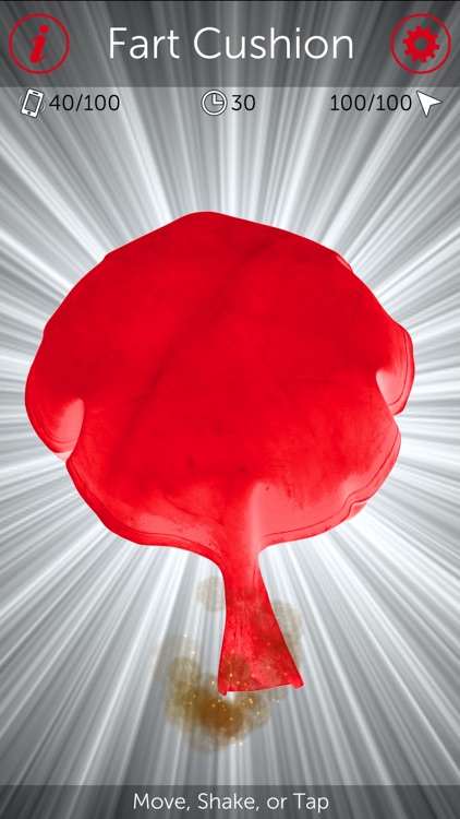 Fart Cushion