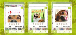 Game screenshot いぬスタンプ～かわいい犬のスタンプアプリ～ hack