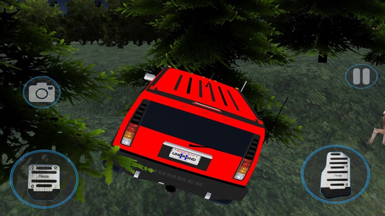 Wild Dinosaur Espace