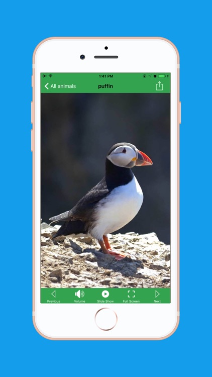 AnimalSounds screenshot-8