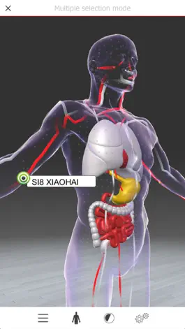 Game screenshot Acupuncture3D mod apk