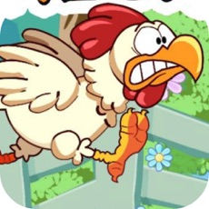 Activities of Chickens Run Case