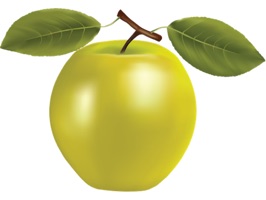 Cartoon Fruits