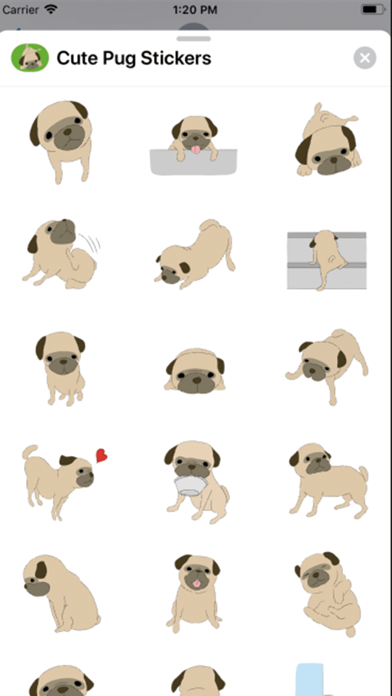 Cute Pug Stickers ！ screenshot 2