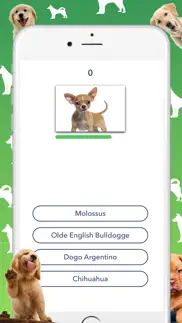 dog quiz - which dog is that? iphone screenshot 3