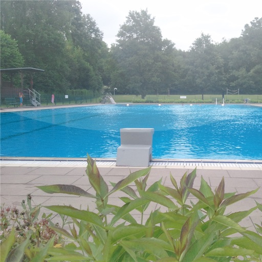 Förderverein Freibad Dellwig