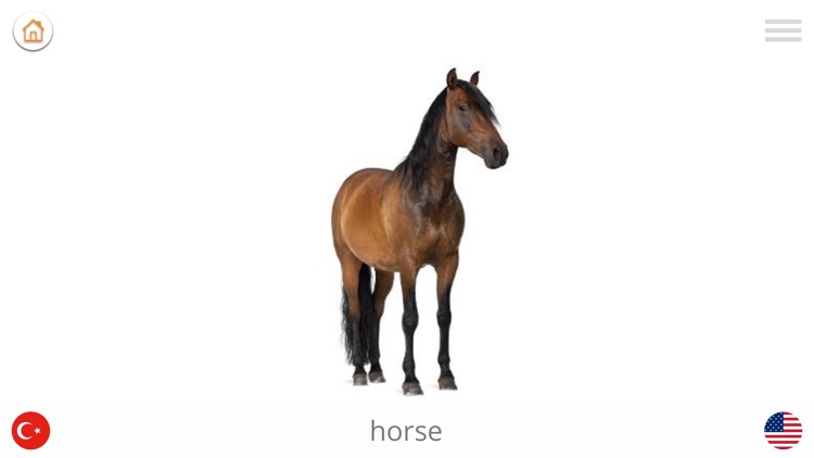 Play and Learn TURKISH