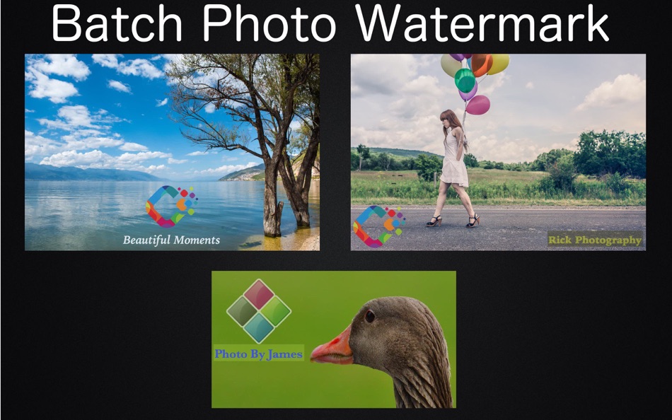 Batch Photo Watermark - 8 - (macOS)