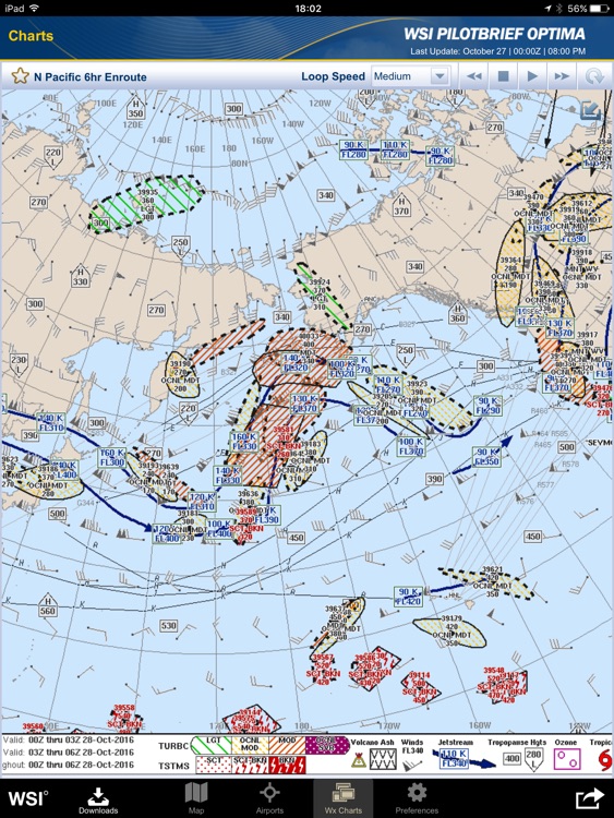 WSI Pilotbrief Optima screenshot-3