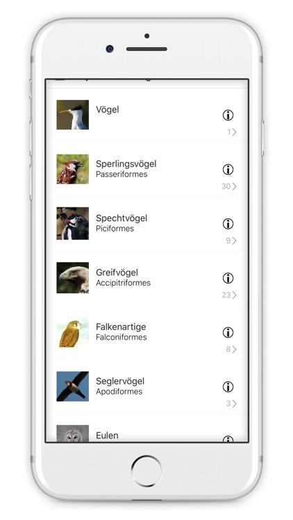 Vögel beobachten und bestimmen