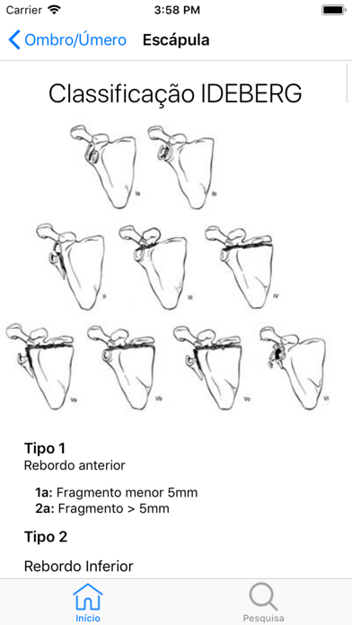 Orthosys screenshot 4