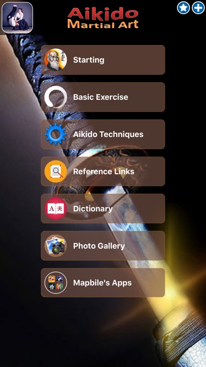 Aikido MA