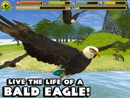 Eagle Simulator на iPad