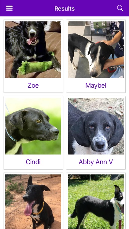 Petfinder Mobile