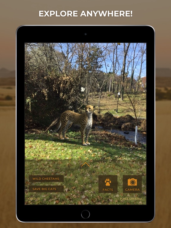 Virtual Cheetah iPad screenshot 1 - Education app