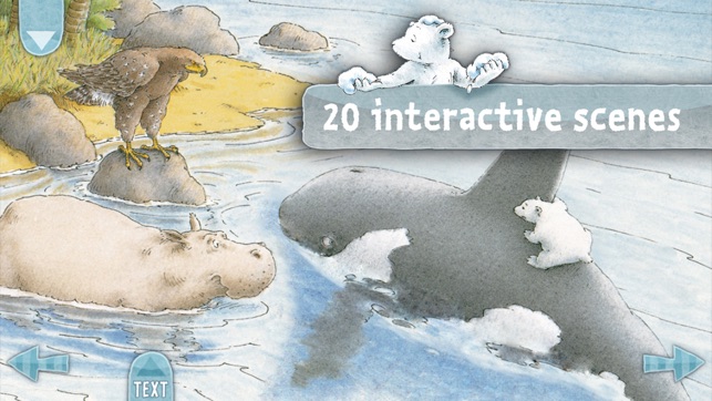 Little Polar Bear(圖3)-速報App