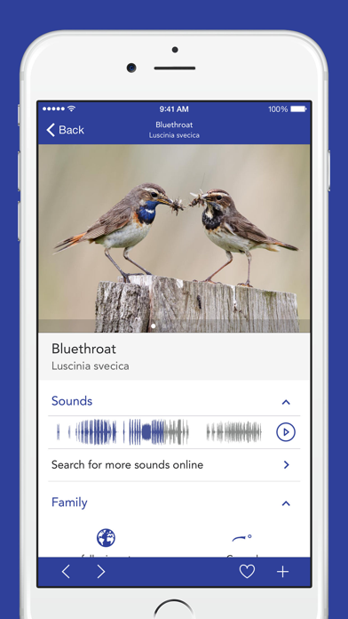 iKnow Birds PRO - USA Screenshot