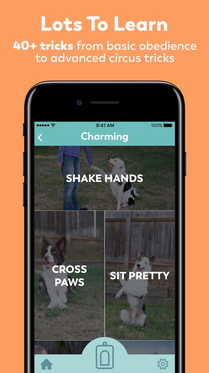 Puppr - Dog Training & Tricks