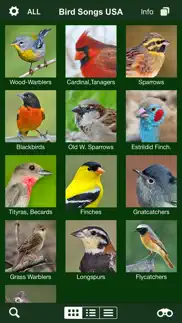 bird songs usa & canada (3100) problems & solutions and troubleshooting guide - 4