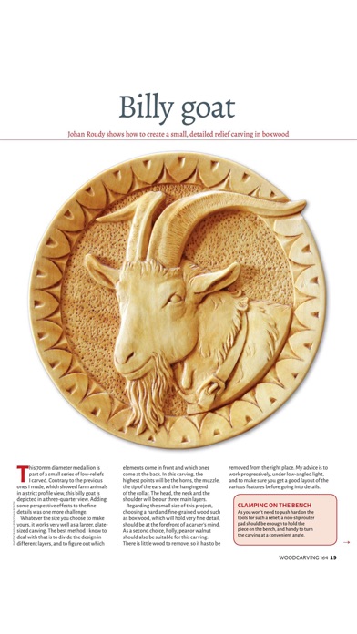 Woodcarving Magazine screenshot1