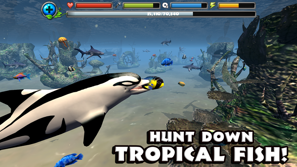 #4. Dolphin Simulator (iOS) 由: Gluten Free Games