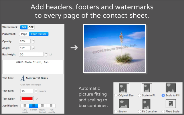 ContactPage Pro(圖4)-速報App