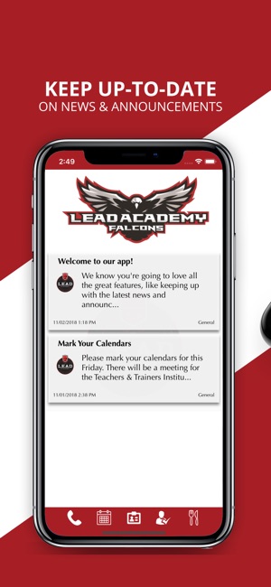 Lead Academy Falcons