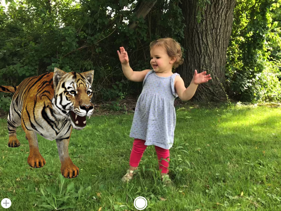 Backyard Safari iPad screenshot 1 - Entertainment app