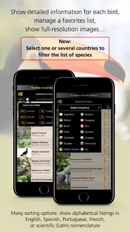 Game screenshot Birds of South America apk