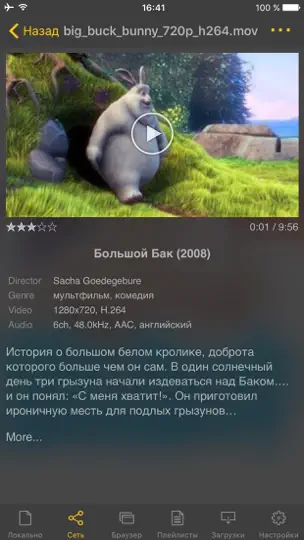 Скриншот NPlayer на iPhone 2