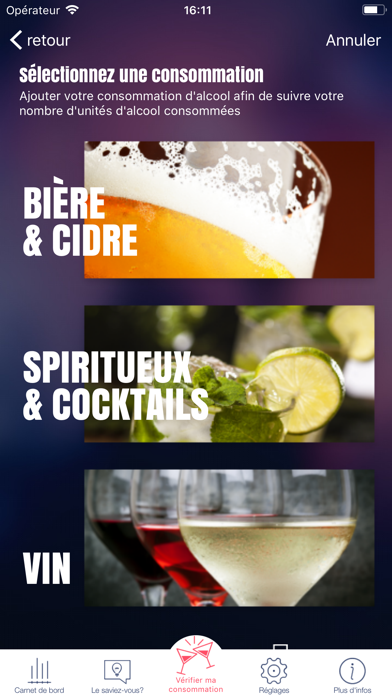 Screenshot #3 pour Wise Drinking by Pernod Ricard