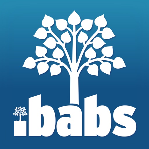 iBabs Pro