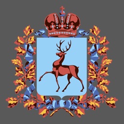 Минфин Нижегородской области