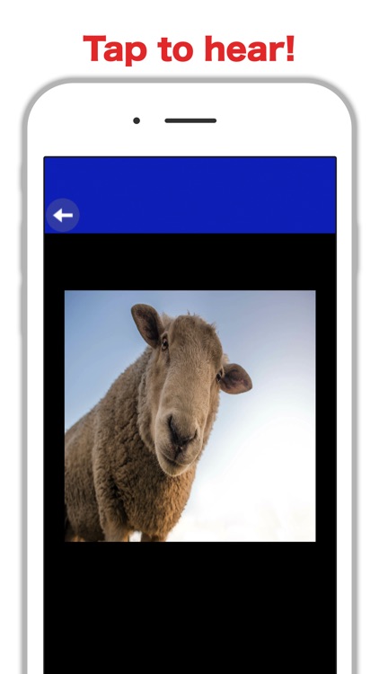 Country Zoo: Farm Animal Games screenshot-3