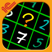 Sudoku Amazing Puzzle
