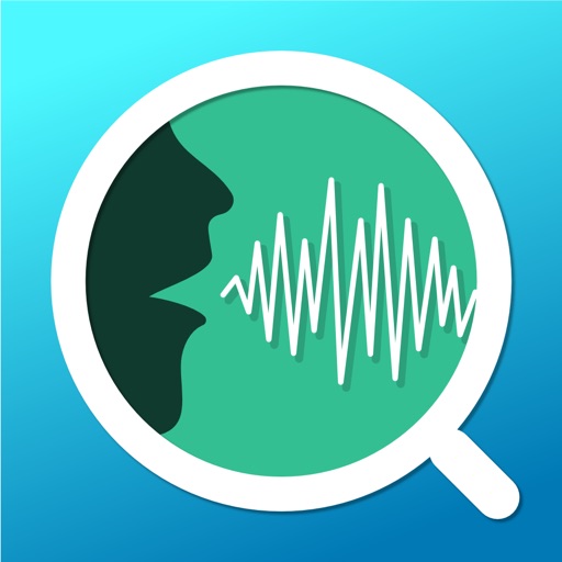 Voice Analyst - monitor your pitch & volume
