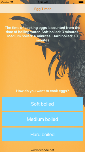 Egg Timer 2017
