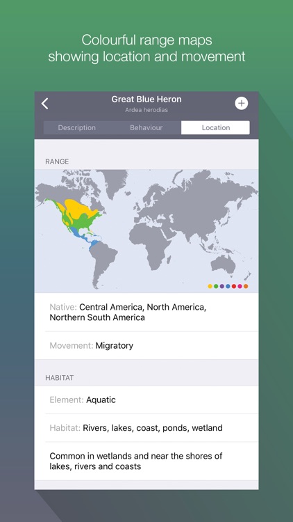 EyeLoveBirds: Bird sightings screenshot-4