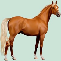 Horse Breeds Quizzes