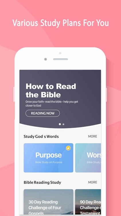 30 Day Bible Study Challenge screenshot-3
