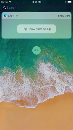 Easy Tip Widget screenshot 2