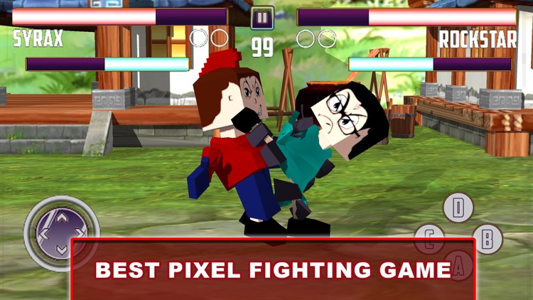 Pixel Fighting 3D Punchers