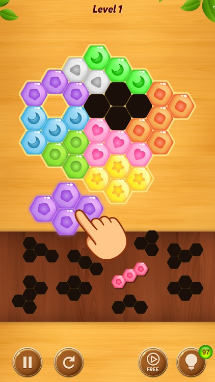 Block Puzzle - Hexa